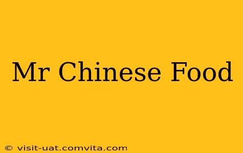 Mr Chinese Food